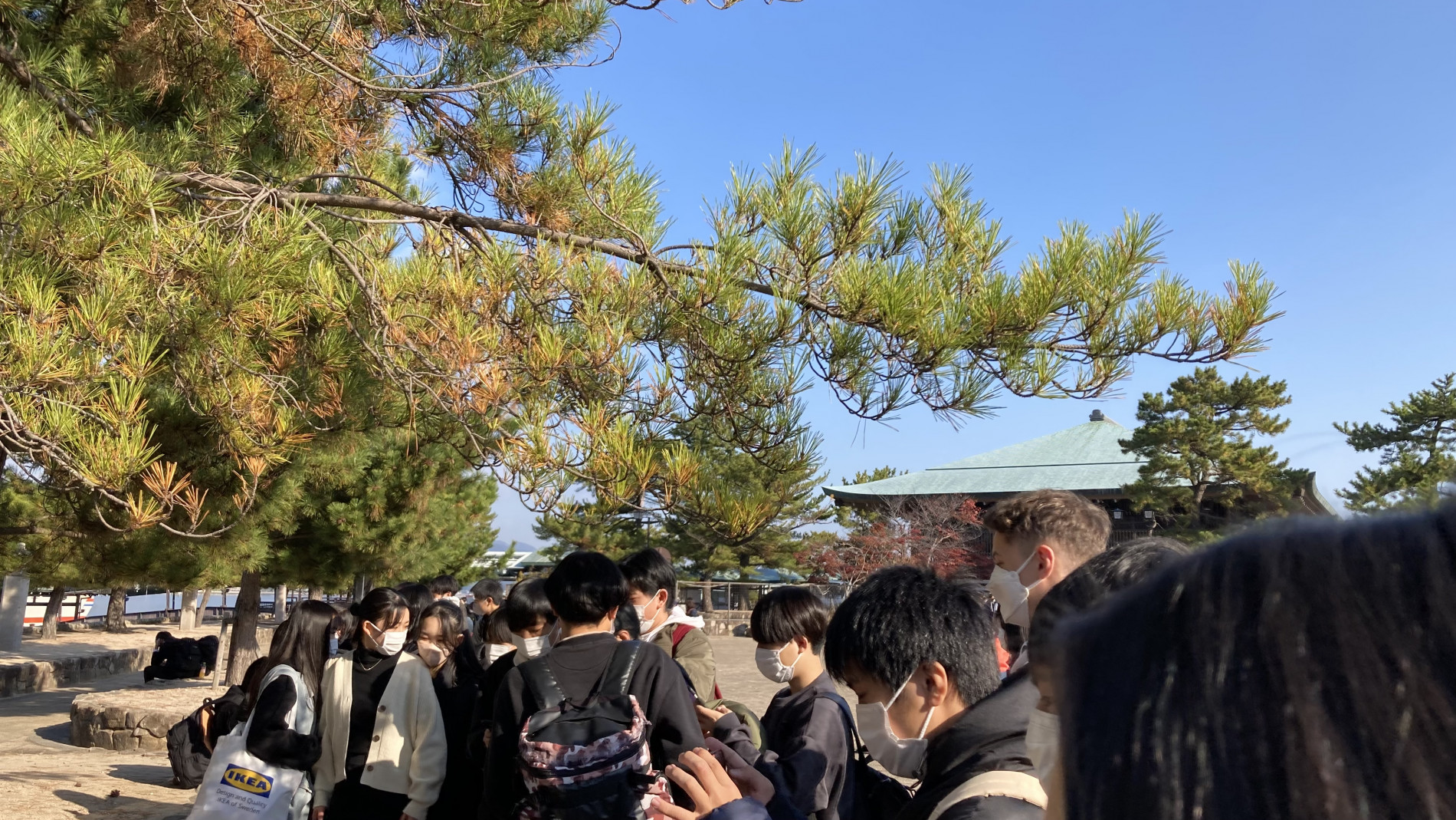 修学旅行２日目(厳島神社) (3)